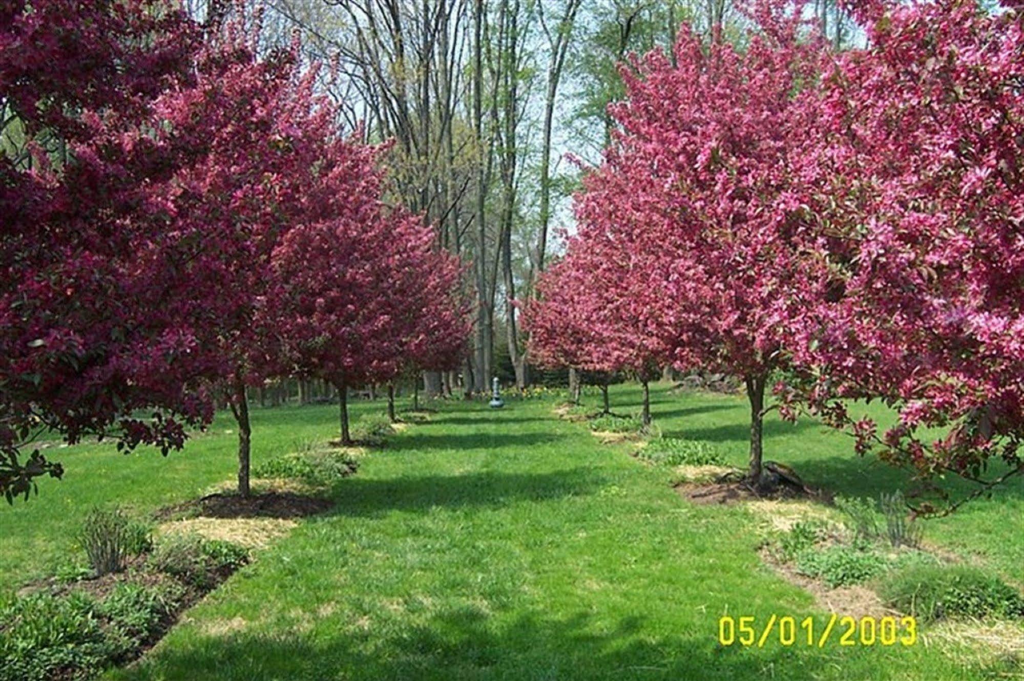 Chadds Ford Wild Wisteria Bed & Breakfast エクステリア 写真