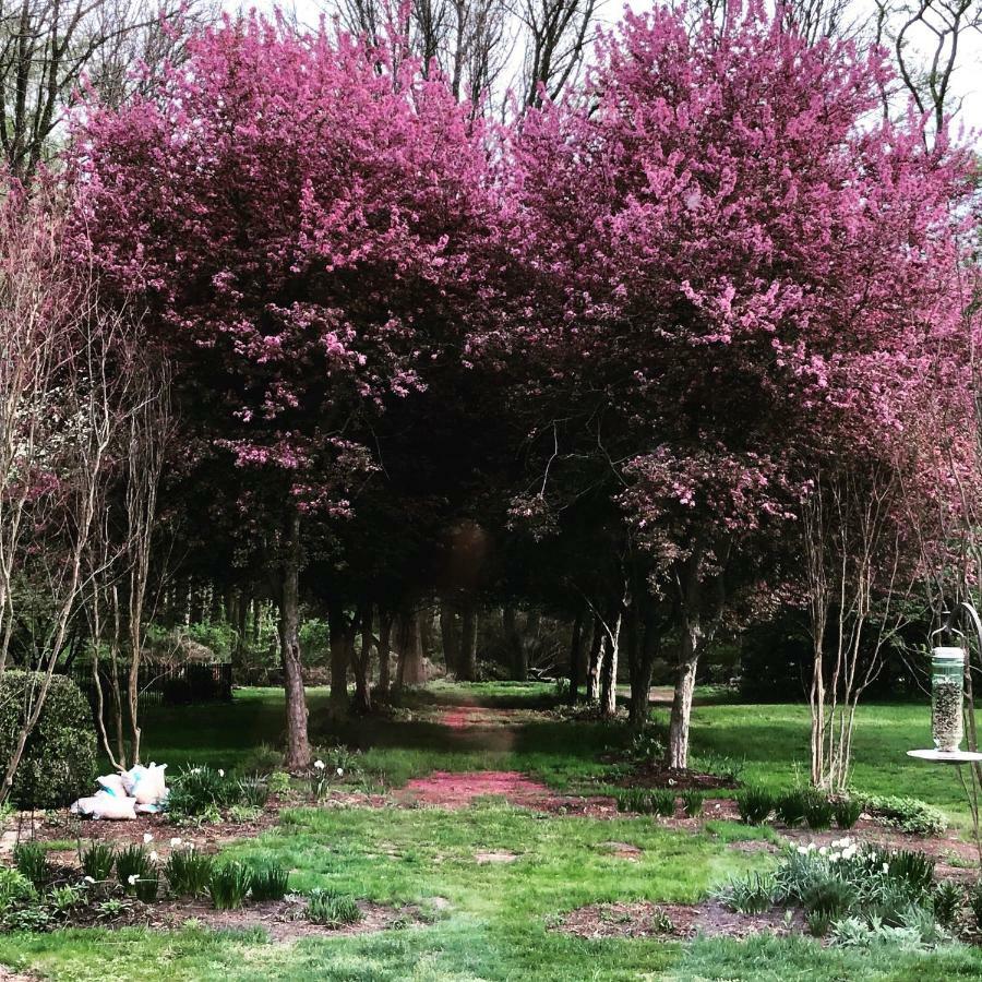 Chadds Ford Wild Wisteria Bed & Breakfast エクステリア 写真
