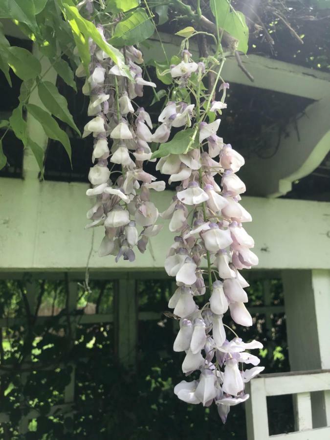 Chadds Ford Wild Wisteria Bed & Breakfast エクステリア 写真